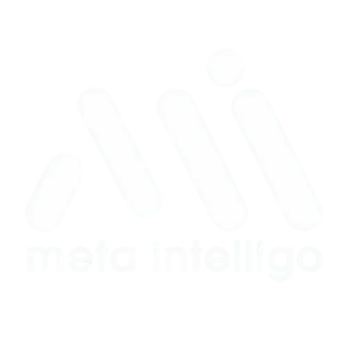 Meta Intelligo Technologies